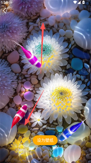 ��������ֽ��ʽ�汾����