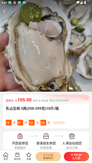 ������2026��������