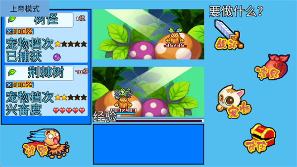 ��������5�ʺ�