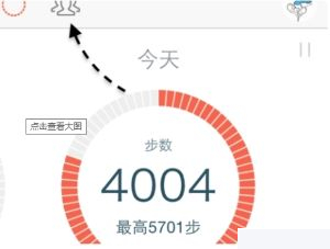 ����Ʋ���