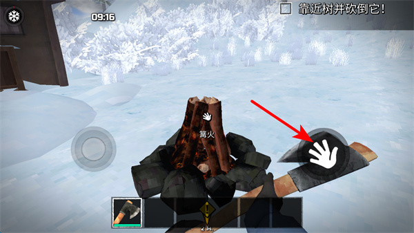 ����ɭ������