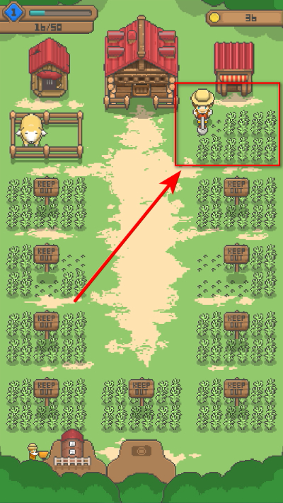 323 (1).jpg 323 (1).jpg