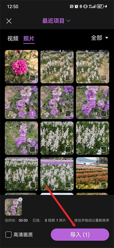 ¼����������