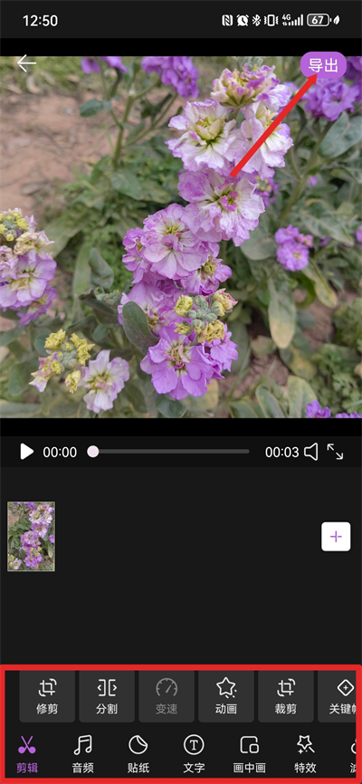 ¼����������