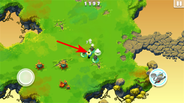 �޵�����è���޽�Ұ�����