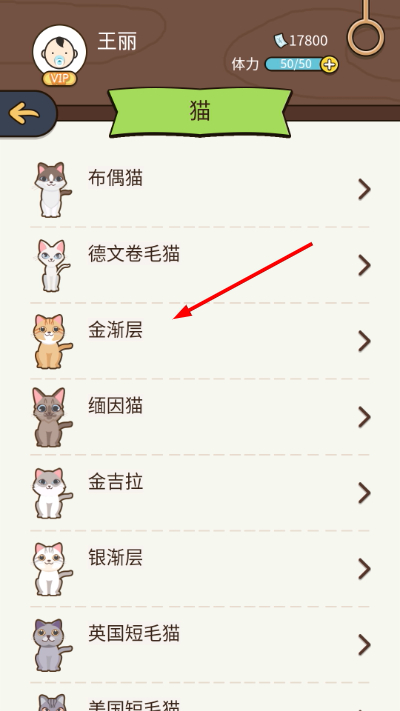 ����ģ������������