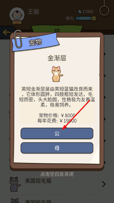 ����ģ������������