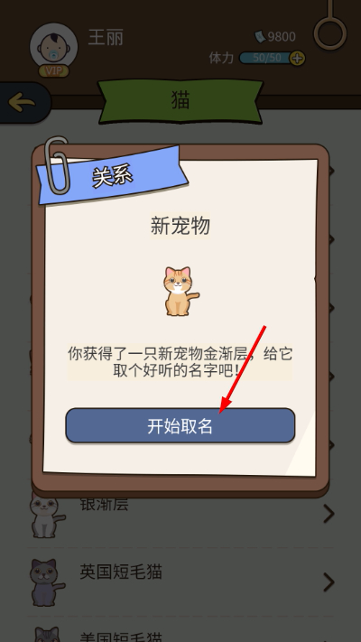 ����ģ������������