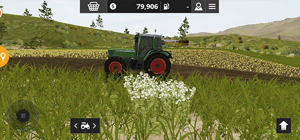 ģ��ũ��20��������