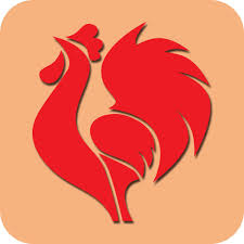 �󹫼����ǲʹٷ�����