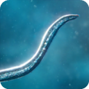 ϸ����Դv56.51 ��׿��