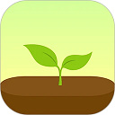 FORESTרעɭ�ְ�׿����v5.9.0 ��׿��