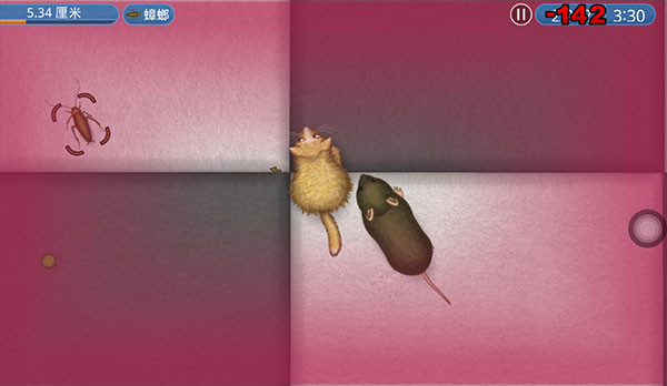 ��Զ����ζ����������ʯ��