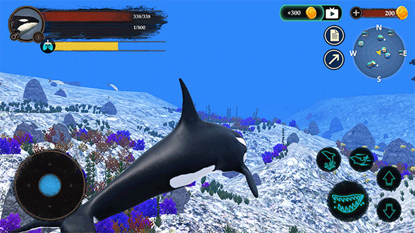 ����ģ�����ٷ���(The Killer Whale)