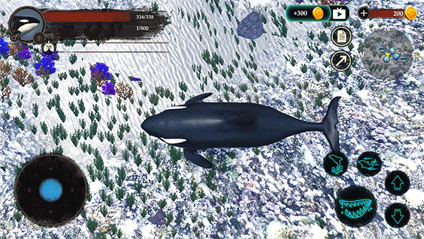 ����ģ�����ٷ���(The Killer Whale)