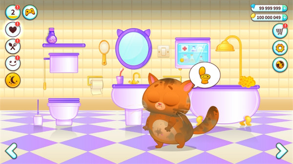 �ҵ��������è