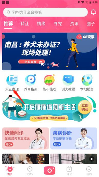 68宠物下载安装 68宠物下载安装