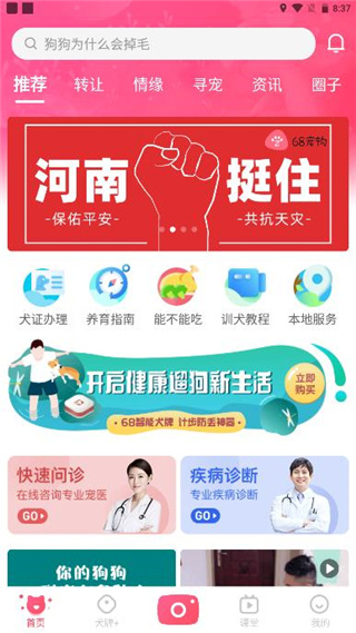 68宠物下载安装 68宠物下载安装