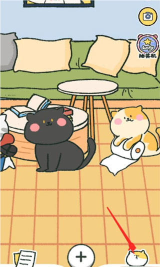 �������������������