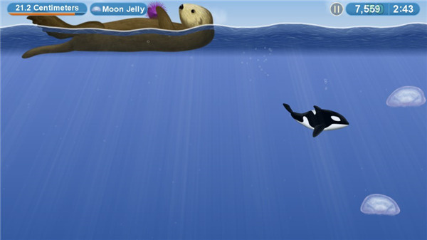 ��ζ����4�������ײ˵�������