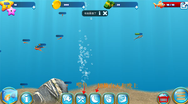 养鱼场3 养鱼场3