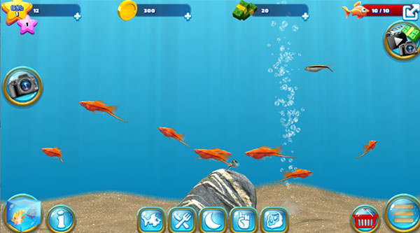 养鱼场3 养鱼场3