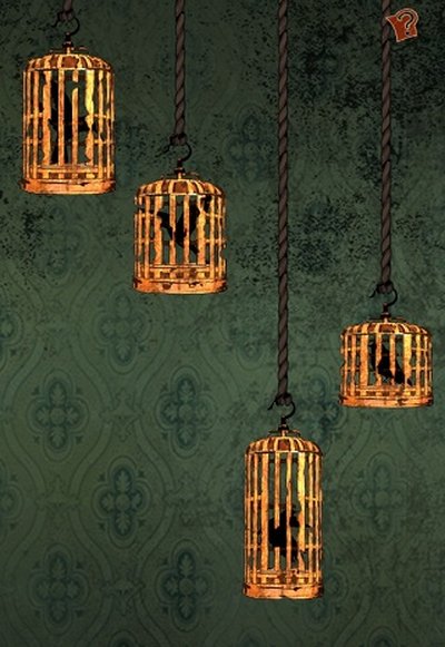 �������ΰ�׿��