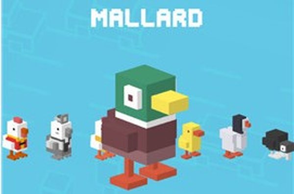 �������·ȫ����ɫ��׿��