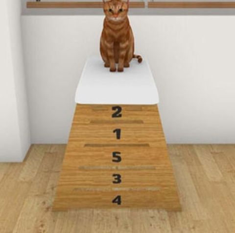 ���ĵĽ��Ұ�׿��