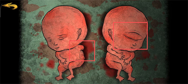 �����������غ��������