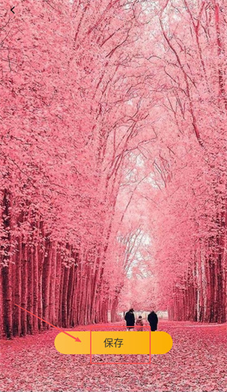 ���ܱ�ֽ��׿������