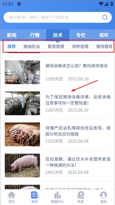 ��������׿��