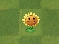 ֲ���ս��ʬ2�ڹ���ѳ�ֵ�����°�����