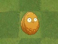 ֲ���ս��ʬ2�����ڹ����2026