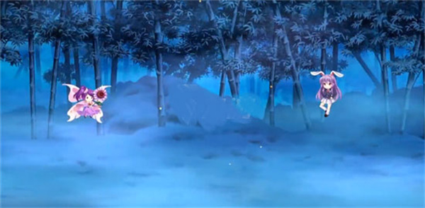 ��������¼