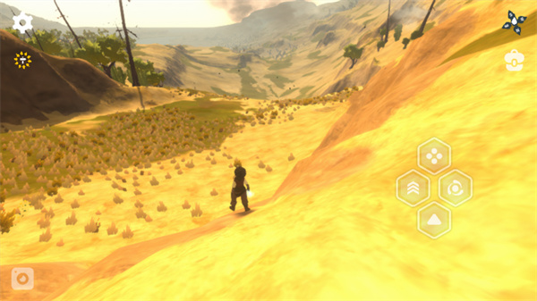 ��Ұɳ���ԭ����������