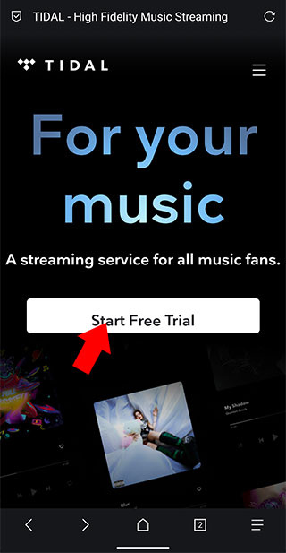 TIDAL�ֻ�������