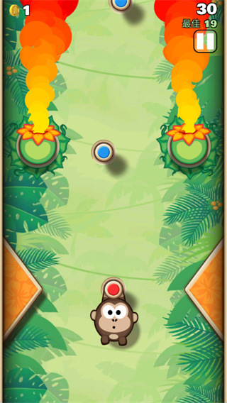 �������ڹ�����