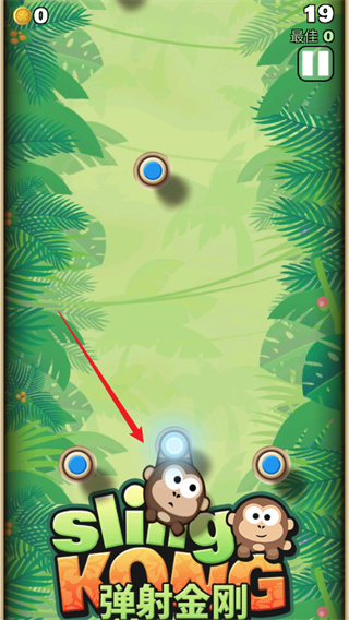 �������ڹ�����