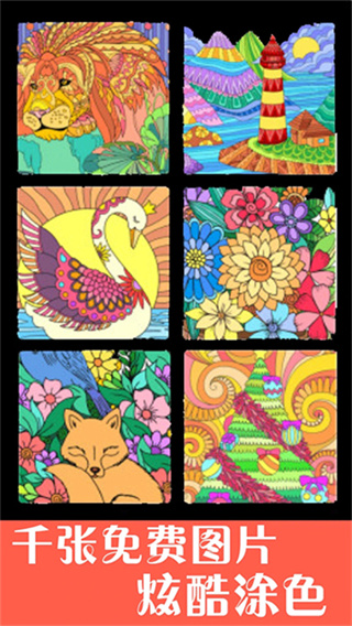 ���ӻ�����������