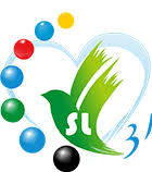 ����������Ʊ31ѡ7�������ѯ����v6.2.7