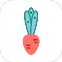 ���ʵ����������v3.3.8 ��׿��