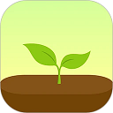 forestרעɭ��2026��������v5.13.0 ��׿��