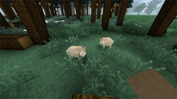 ����ս���ɰ�����v2.2.10.4API ��׿��