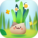 �ڴ�ֲ�ﰲ׿��v2.11.9