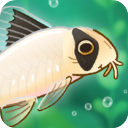 ��Ȥ����ٷ�������v1.21.14