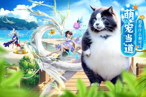 �Ϲ����vivo��׿��v1.0.1