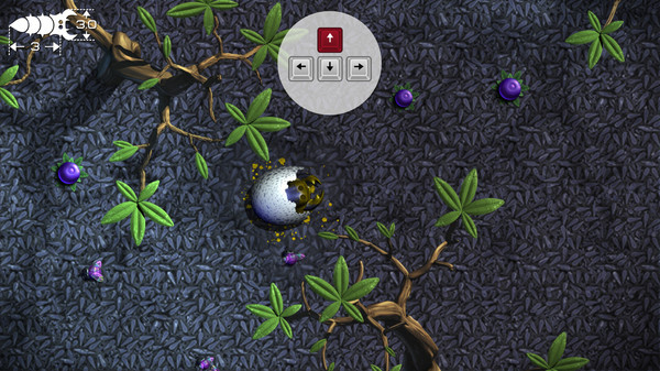 ʳ���ģ������׿������v1.3.1