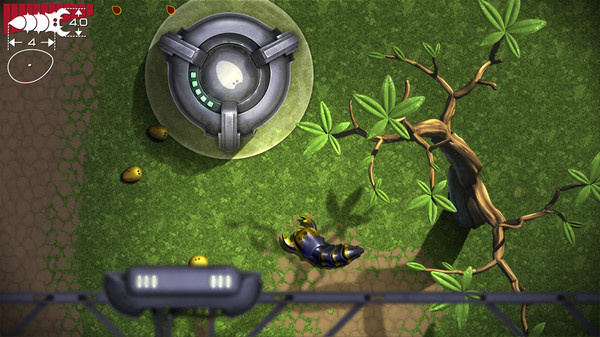 ʳ���ģ������׿������v1.3.1