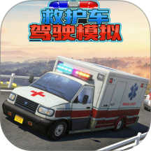 �Ȼ�����ʻģ�����װ�����v1.0 ��׿��